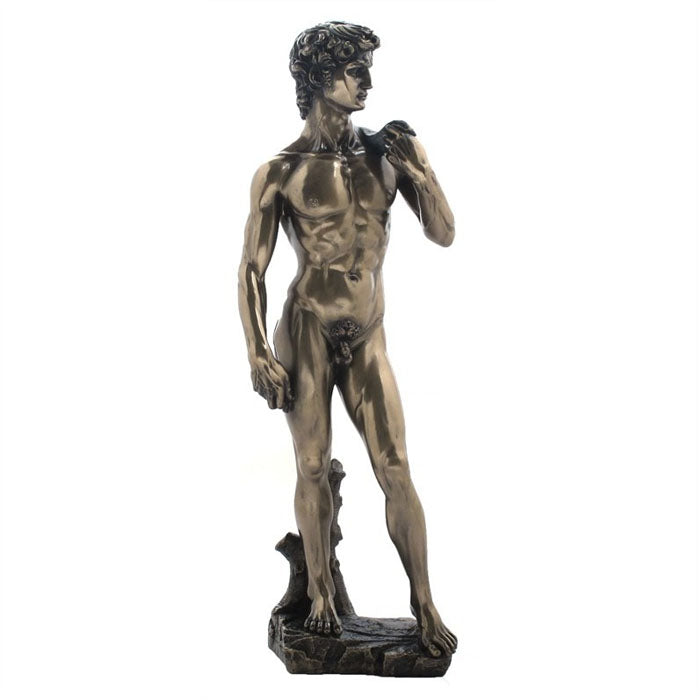 Michelangelo's David Bronze Figurine - Notbrand
