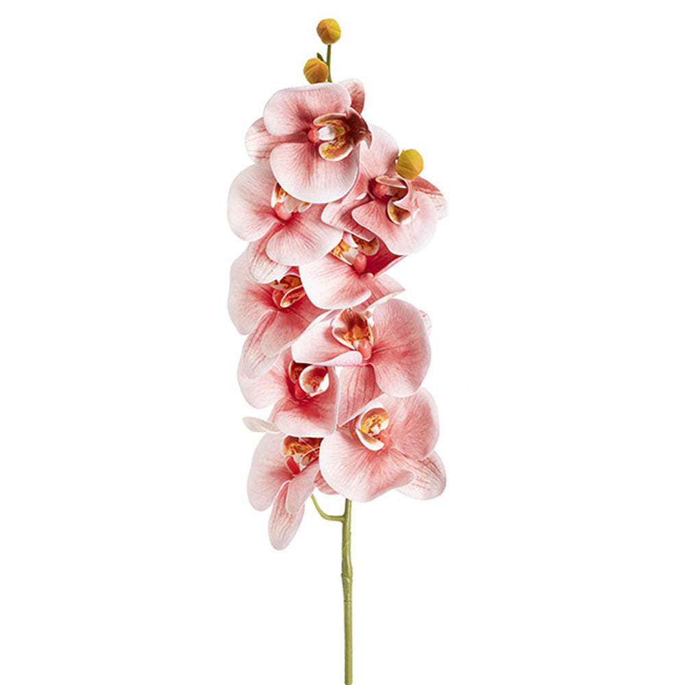 Phalaenopsis Orchid 3D Real Touch x9 Head Dusty Pink (98cmH) - Notbrand