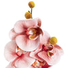Phalaenopsis Orchid 3D Real Touch x9 Head Dusty Pink (98cmH) - Notbrand