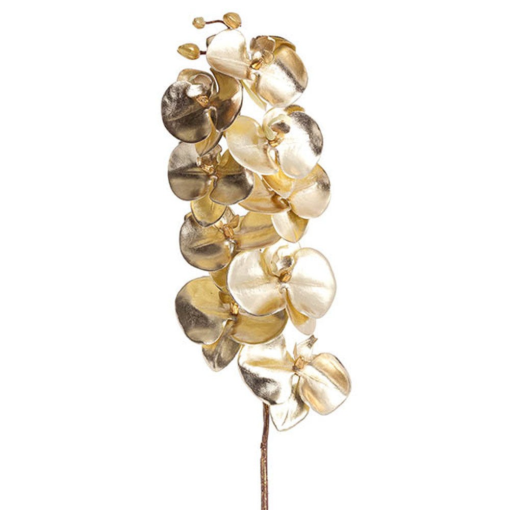 Phalaenopsis Orchid 9 Flowers Metallic Champagne Gold(75cmH) - Notbrand