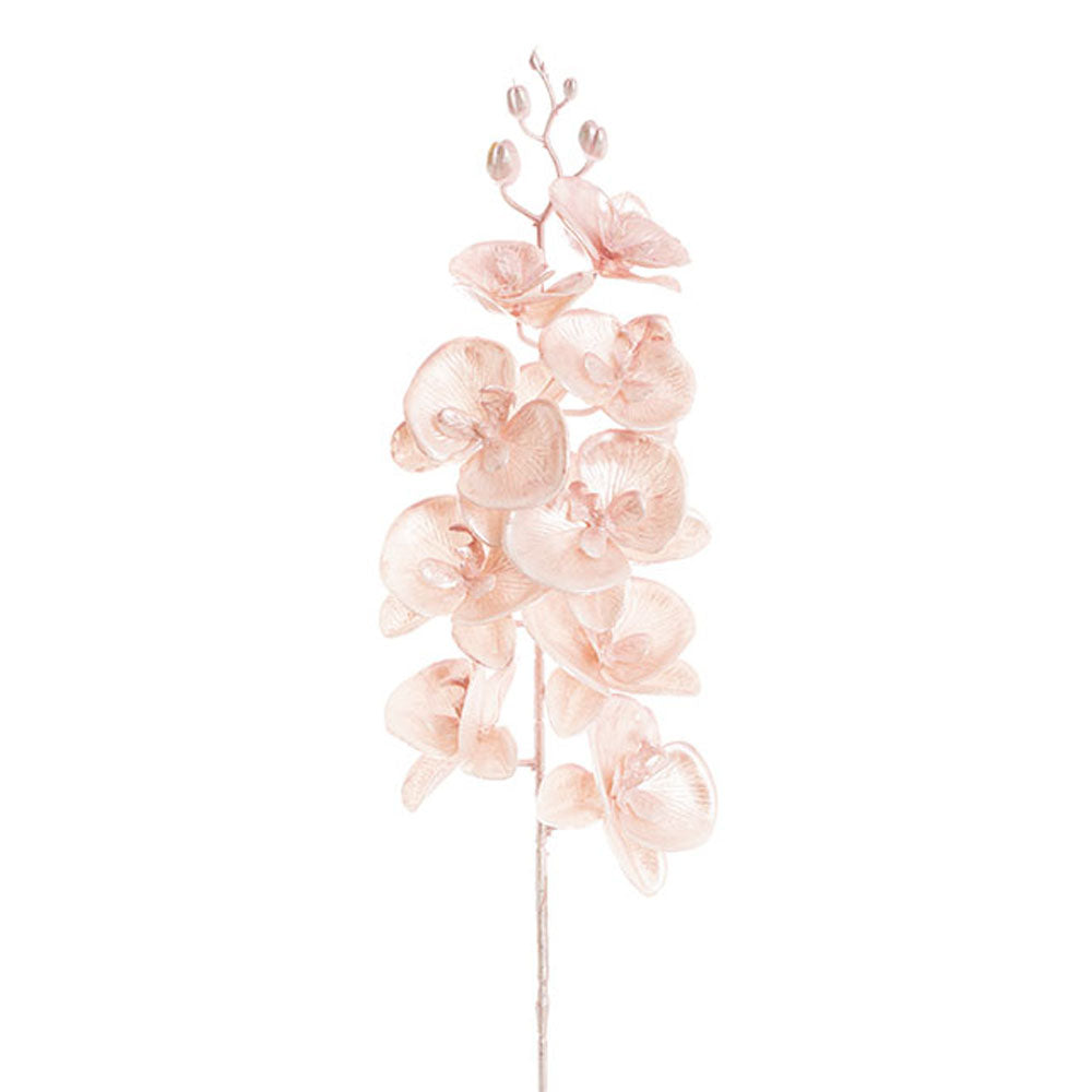 Phalaenopsis Orchid 9 Flowers Metallic Pink (88cmH) - Notbrand