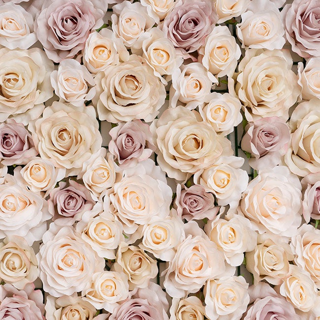 Rose Flower Wall Roll in Soft Pink & Cream - Notbrand