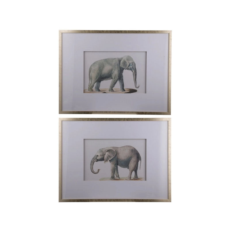 Set of 2 Elephant Framed Prints Wall Art - Notbrand