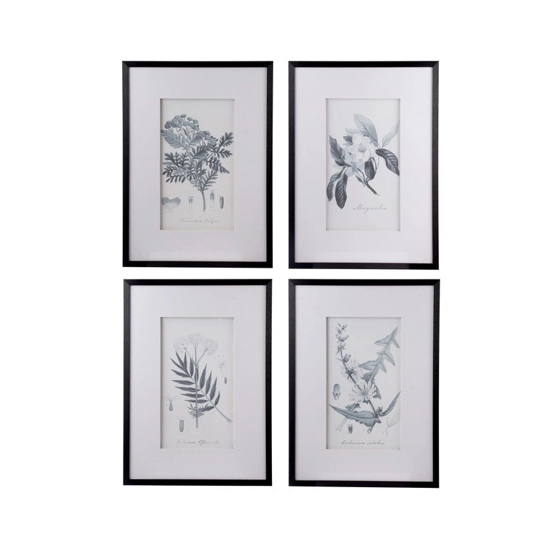 Set of 4 Flora & Framed Fauna Prints Wall Art - Notbrand