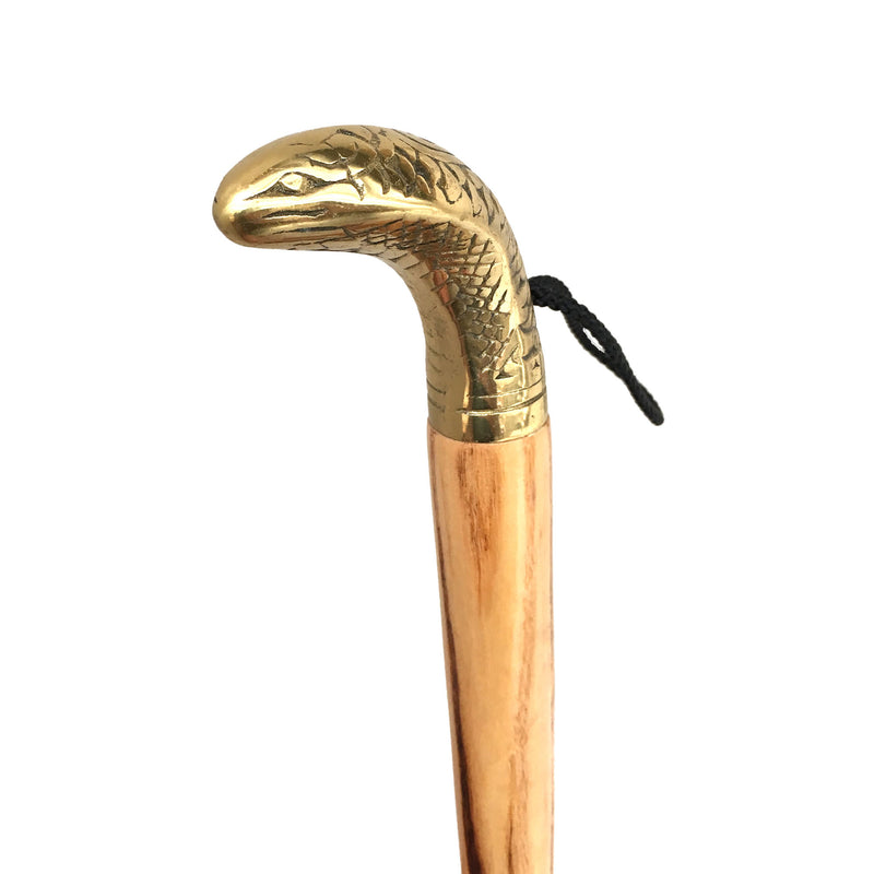 Snake Head Shoe Horn with Wooden Stick - Notbrand