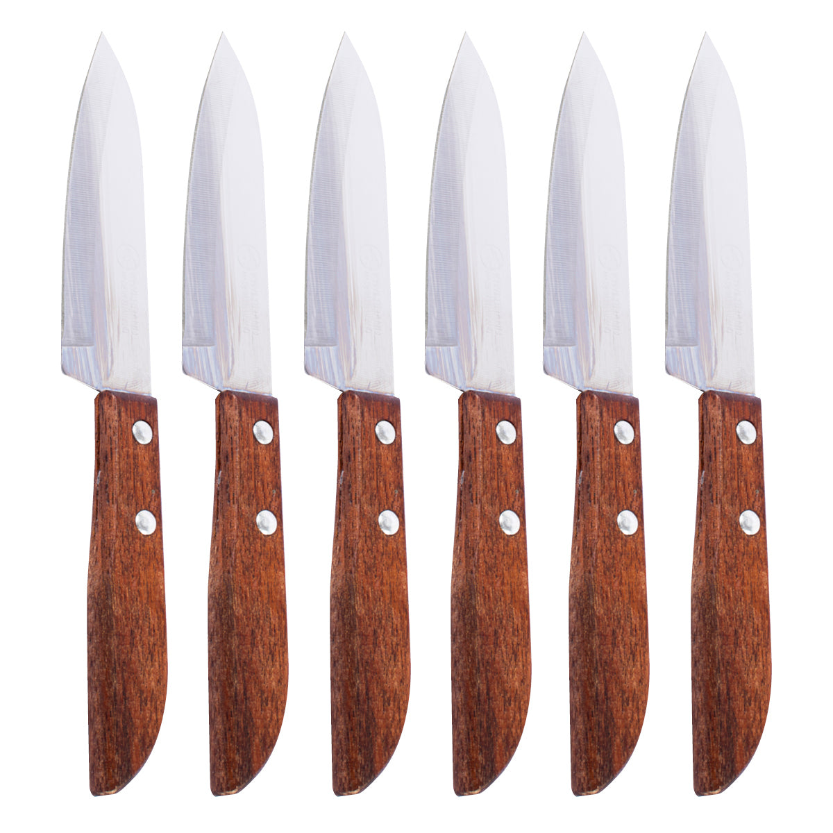 Kiwi 12pcs Stainless Steel Fruit Knife - 19.5cm  - Notbrand