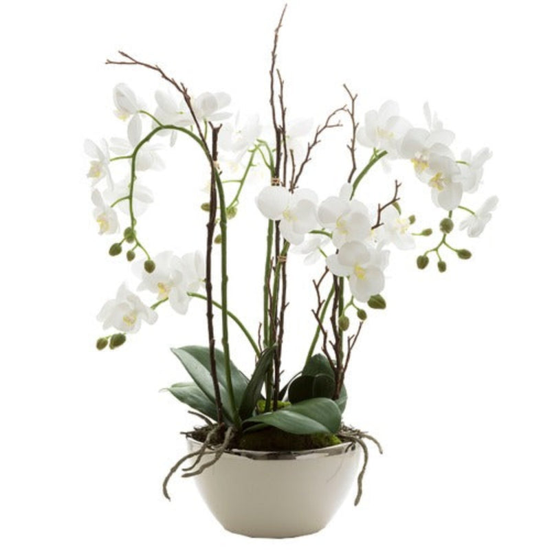 Orchid Real Touch Artificial Flower in White Pot with Silver Rim - 60cm - Notbrand