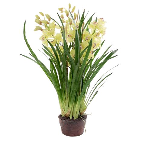 Artificial Cymbidium Orchid Flower with Paper Pot - Green - Notbrand