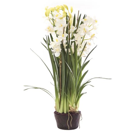 Artificial Cymbidium Orchid Flower with Paper Pot - White - Notbrand