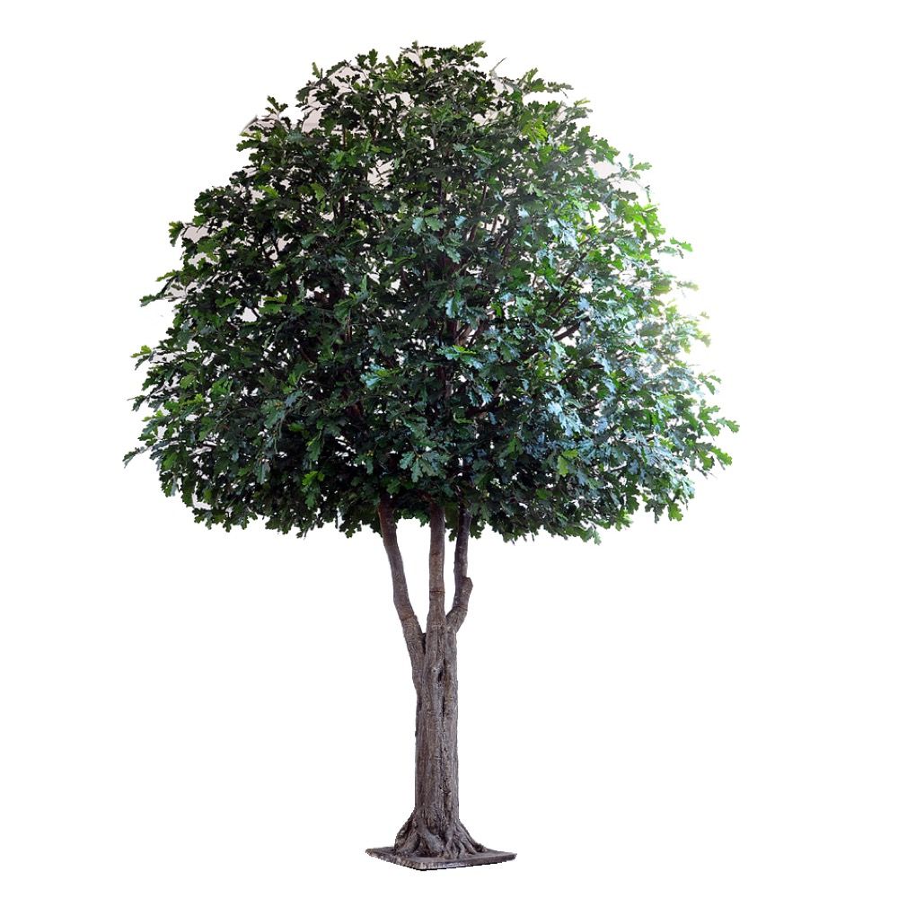 Oak Giant Artificial Tree - 5.7m - Notbrand