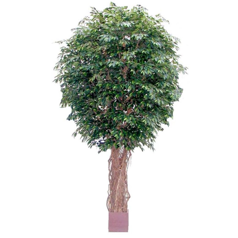Fat Ficus Liana Giant Artificial Potted Tree - 6.1m - Notbrand