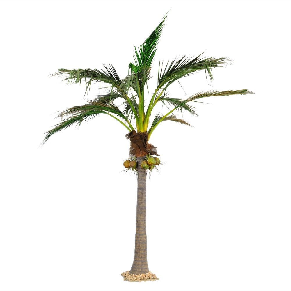 Coconut Palm Giant Artificial Tree - 5.9m - Notbrand