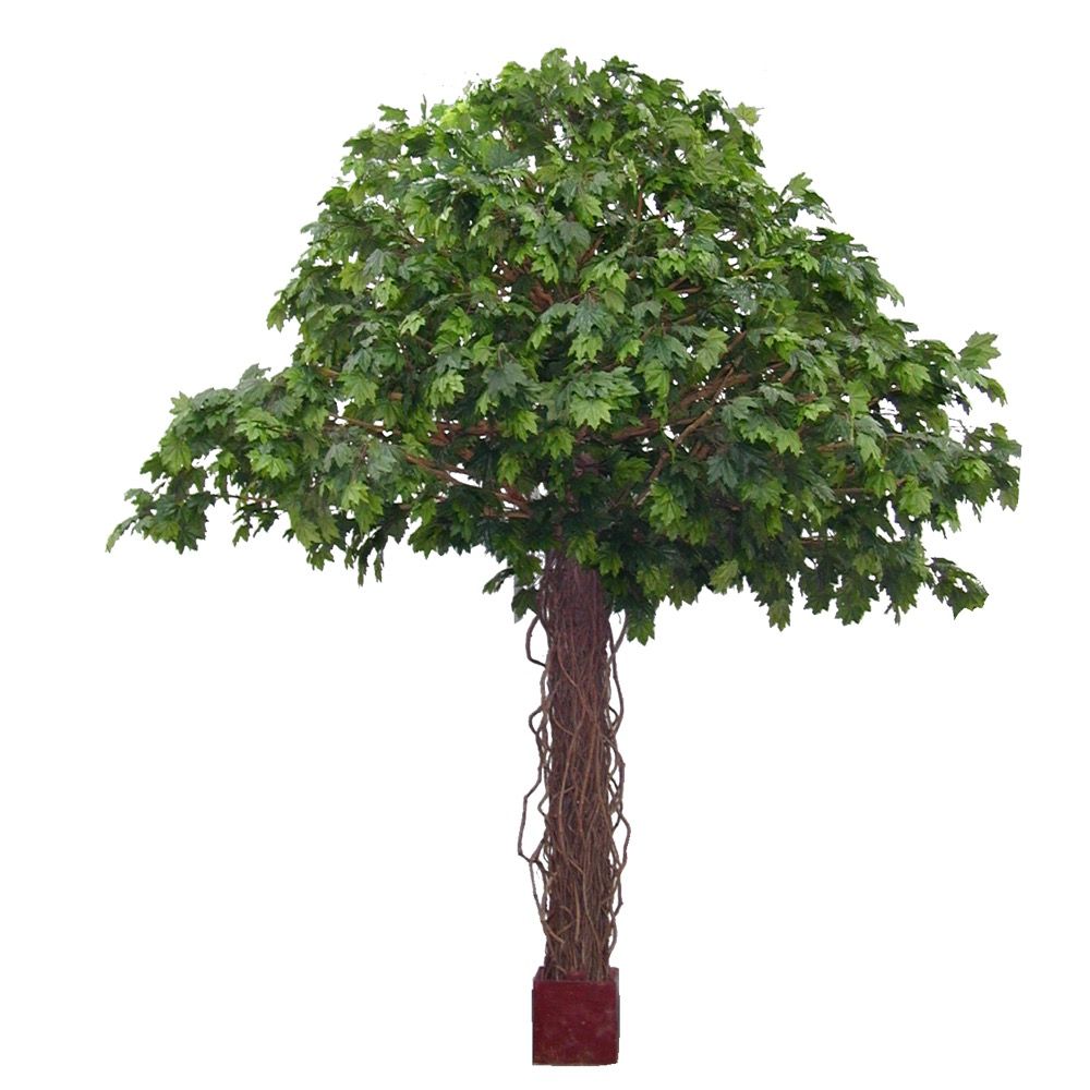 Maple Liana Giant Artificial Tree - 5.5m - Notbrand