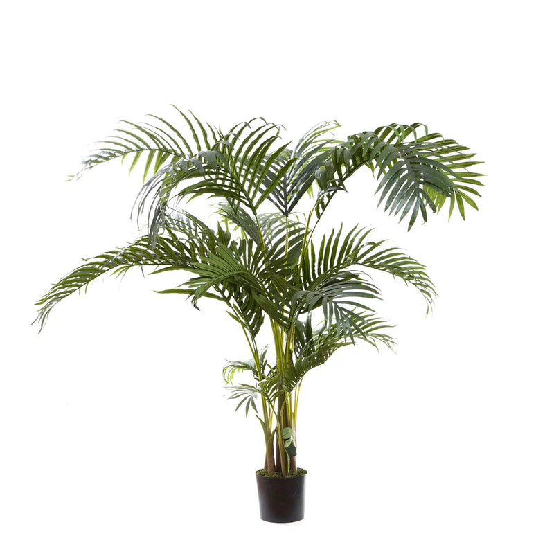Kentia Artificial Palm Tree - 150cm - Notbrand