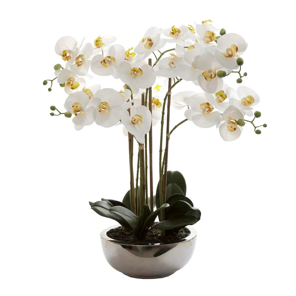 Phalaenopsis Real Touch In Silver Pot with White Artificial Flowers- 50cm - Notbrand