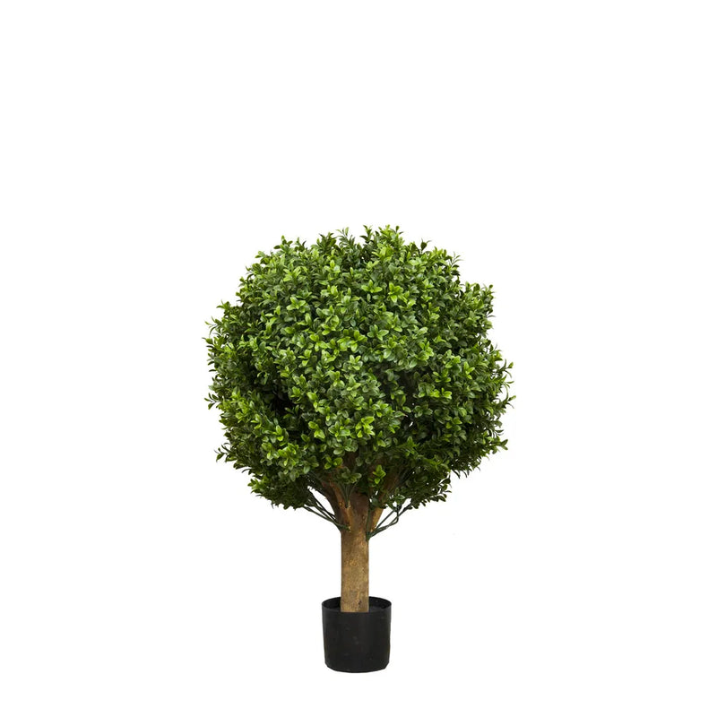 Artificial Boxwood Ball Tree - 65cm - Notbrand