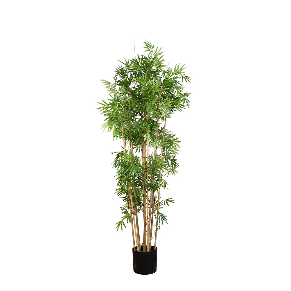 Artificial Japanese Bamboo Tree - 160cm - Notbrand