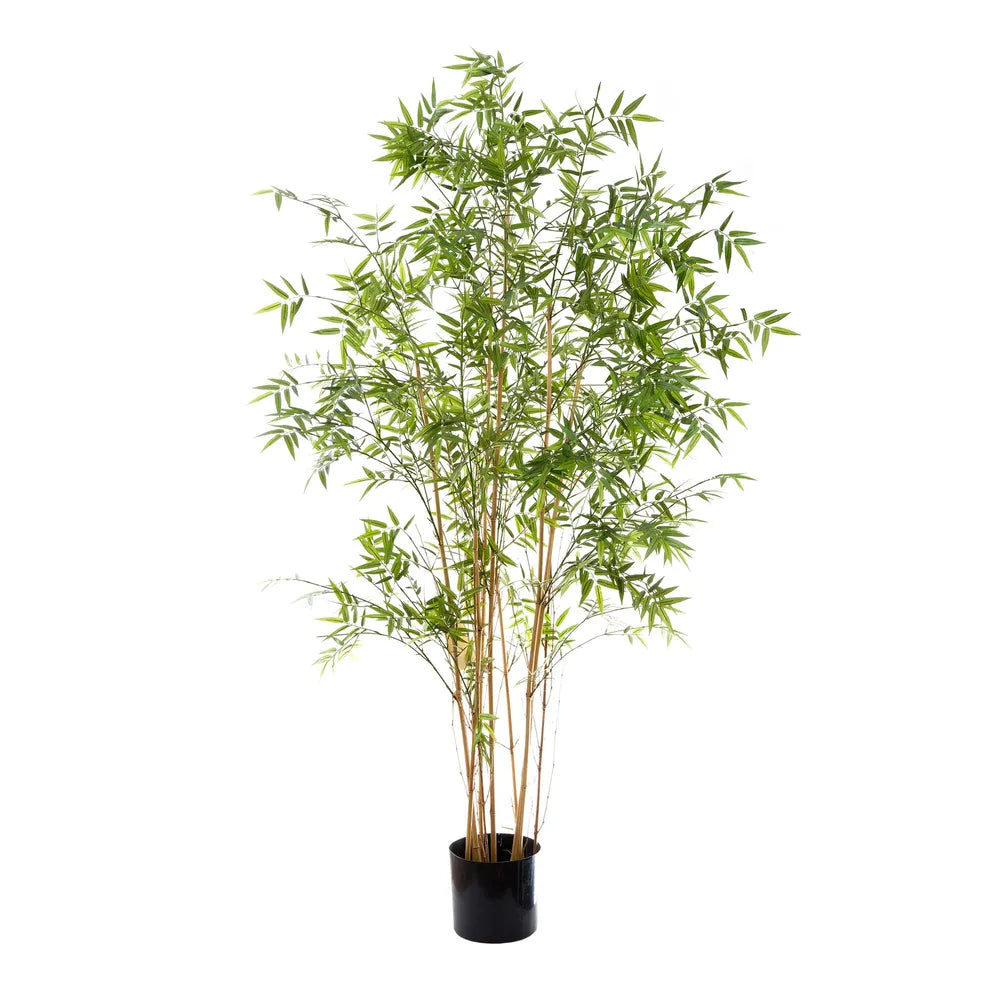 Oriental Bamboo Tree - 190cm - Notbrand