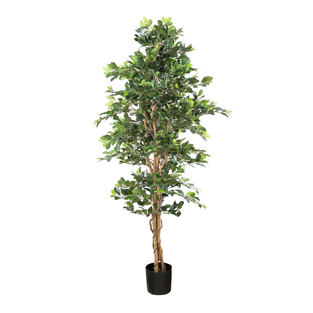 Artificial Ficus Retusa Bush Tree - 180cm - Notbrand