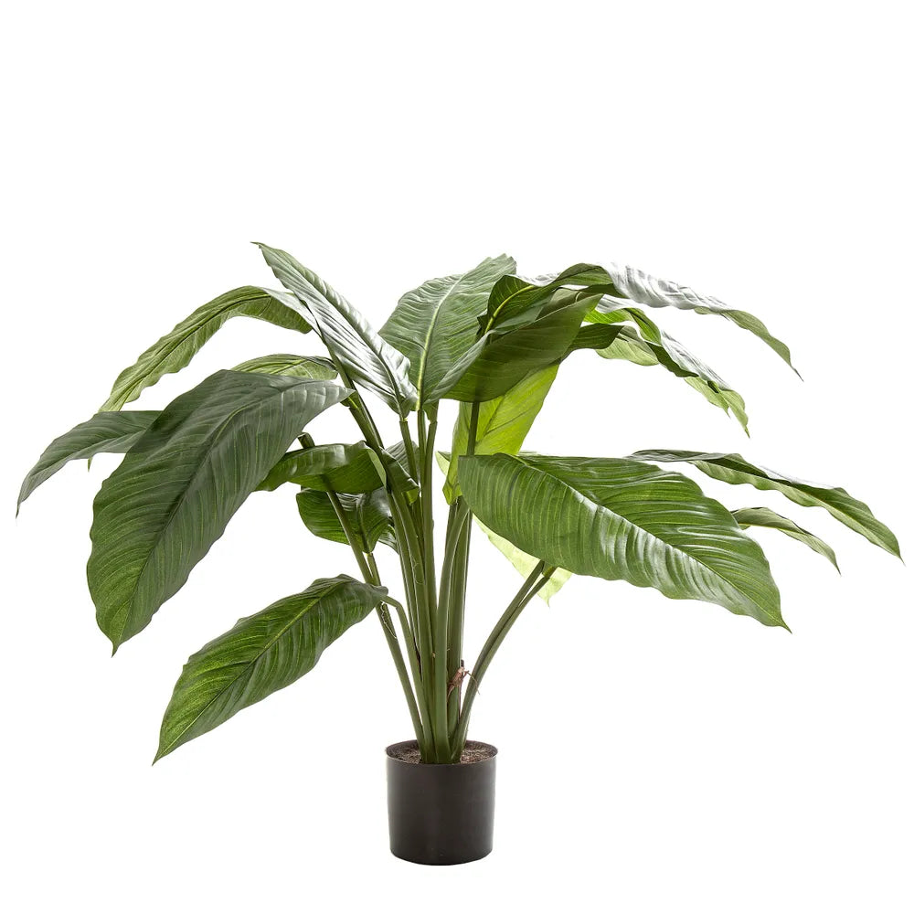 Artificial Spathiphyllum Potted - 66cm - Notbrand