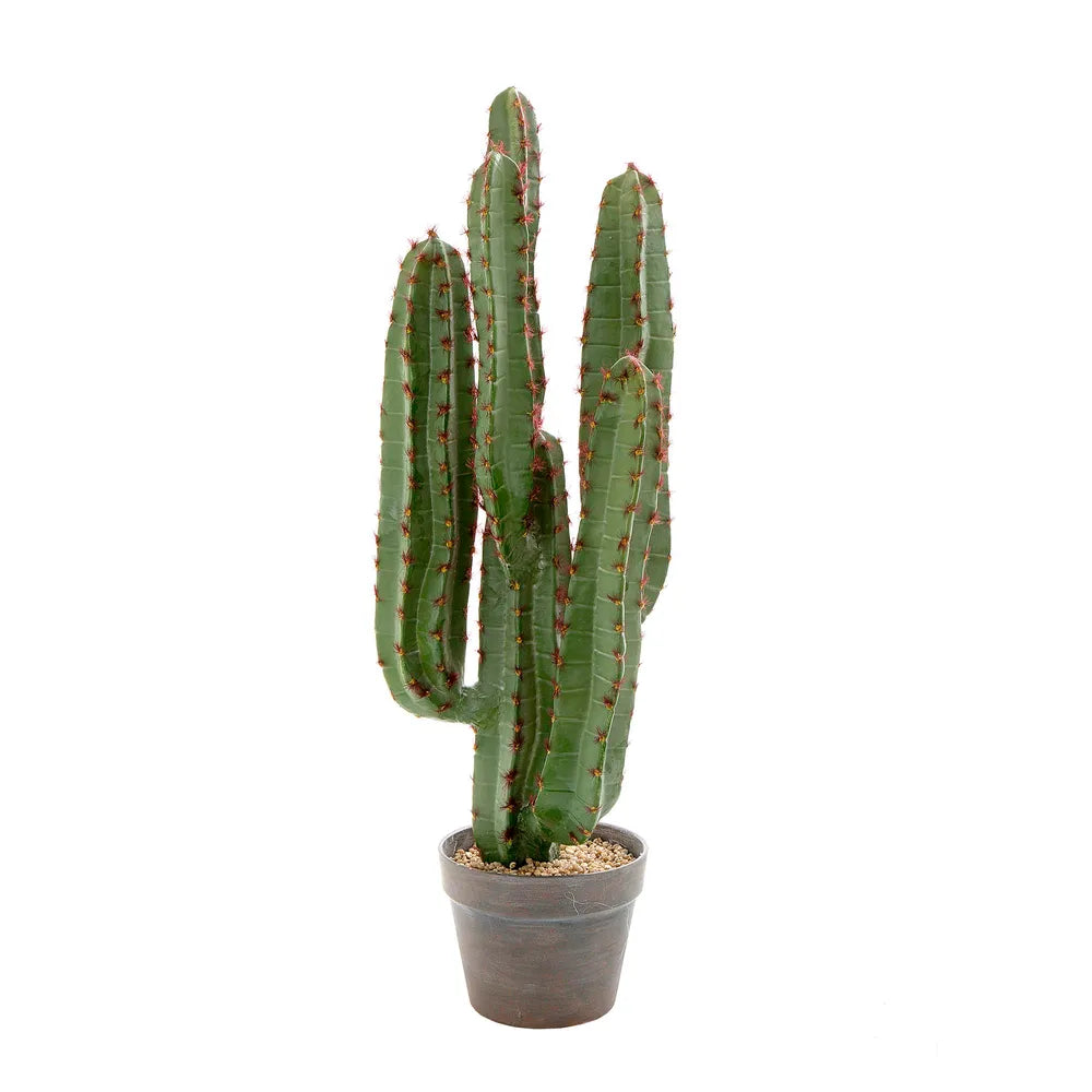 Desert Cactus - 82cm - Notbrand
