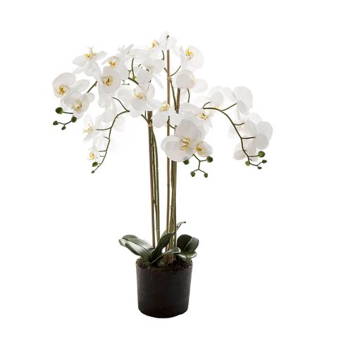 Artificial Orchid Flower with Paper Pot - Medium - Notbrand