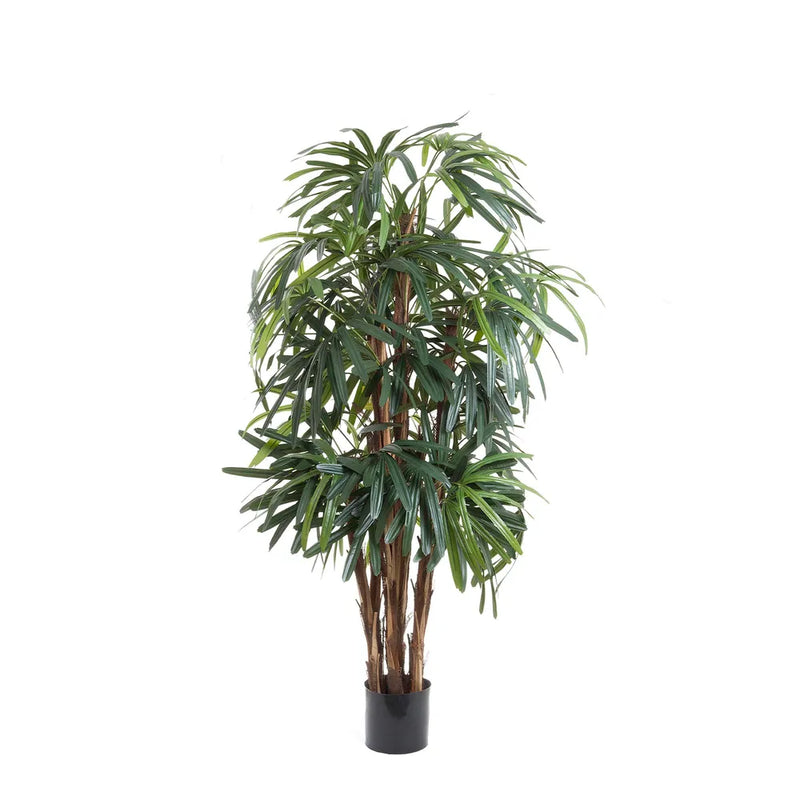 Artificial Raphis Palm Thin Leaf with Pot - 120cm - Notbrand