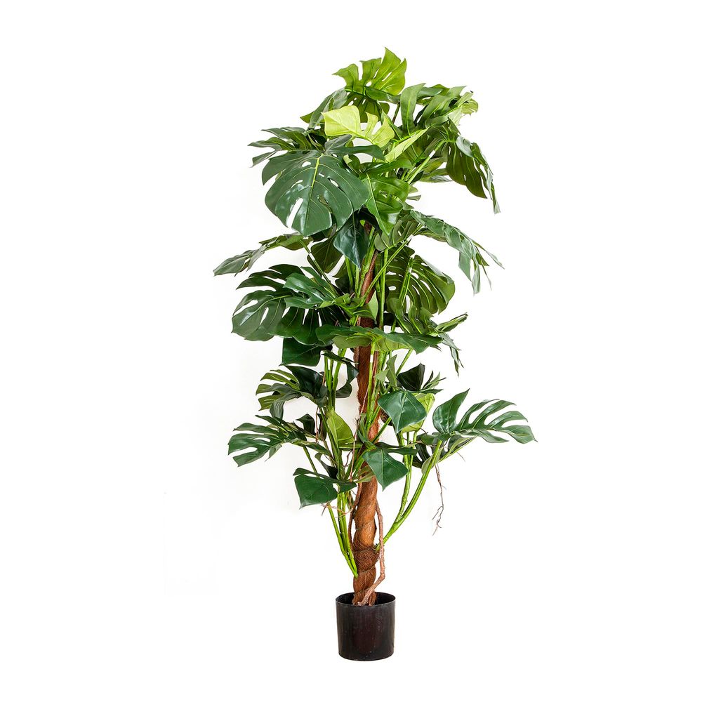 Split Leaf Philodendron Artificial Tropical Tree - 1.5m - Notbrand