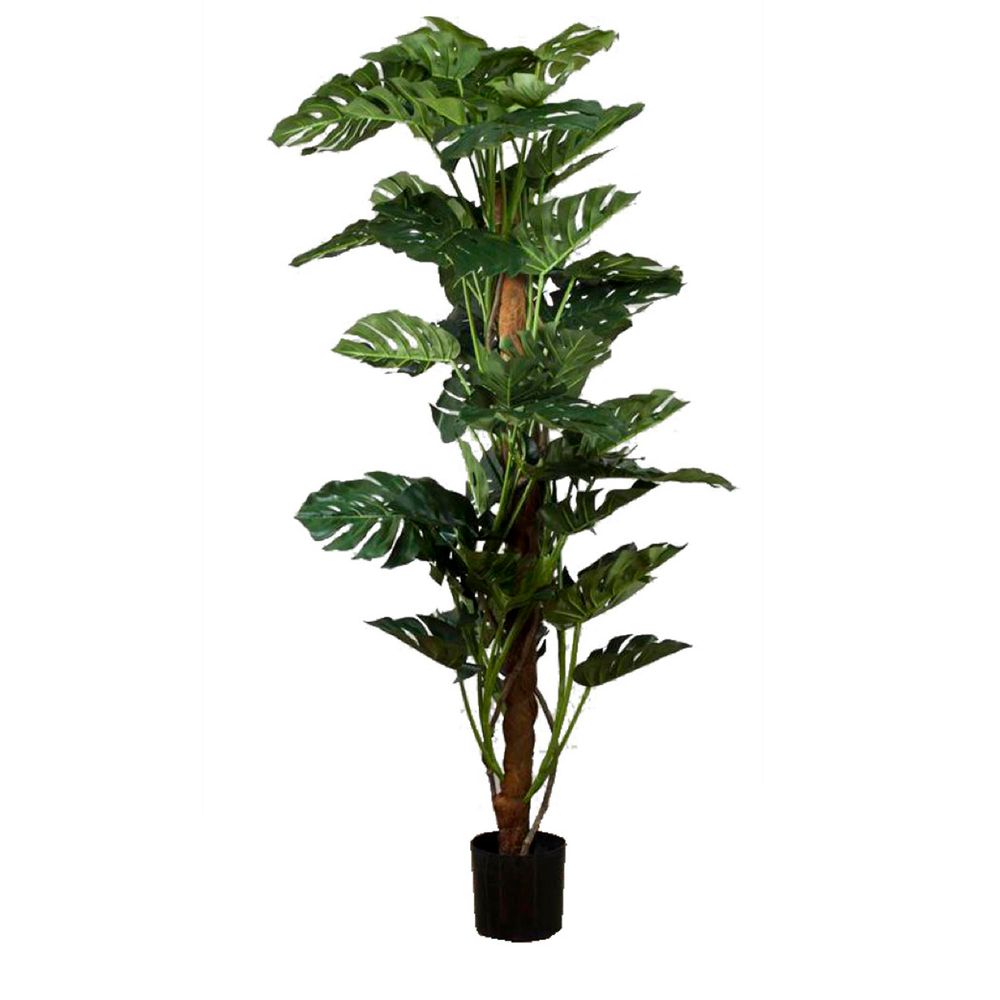 Split Leaf Philodendron Artificial Tropical Tree - 1.9m - Notbrand