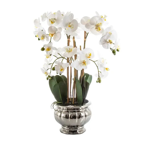 Potted Orchid In Silver Bowl with Artificial White Flower - 68cm - Notbrand