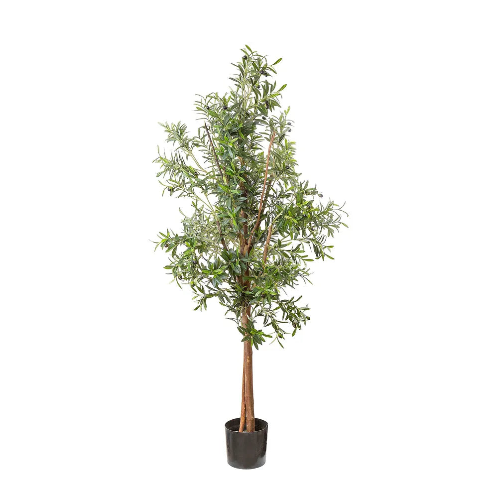 Artificial Olive Tree - 170cm - Notbrand