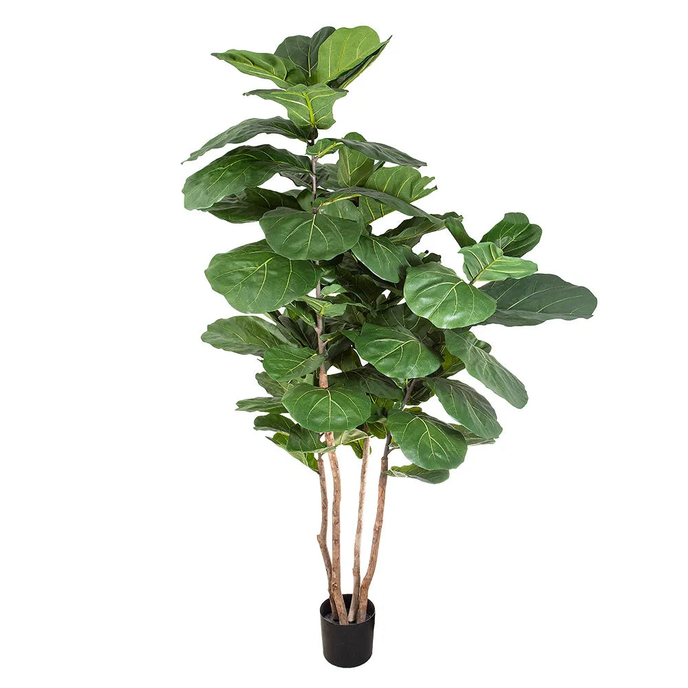 Artificial Fiddle Leaf Tree - 190cm - Notbrand