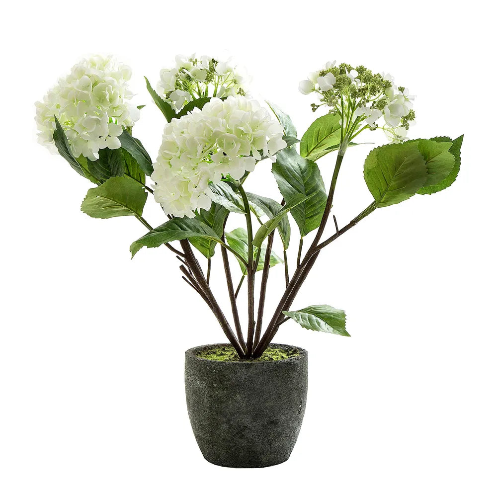 Hydrangea In Pot with White Artificial Flowers - 70cm - Notbrand