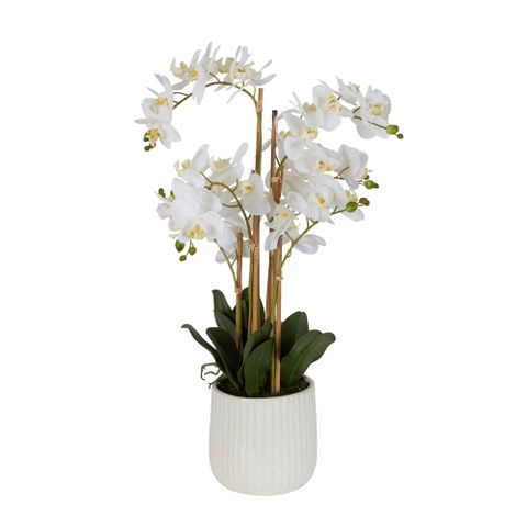 Artificial Orchid Flower with Ceramic Pot - White - Notbrand