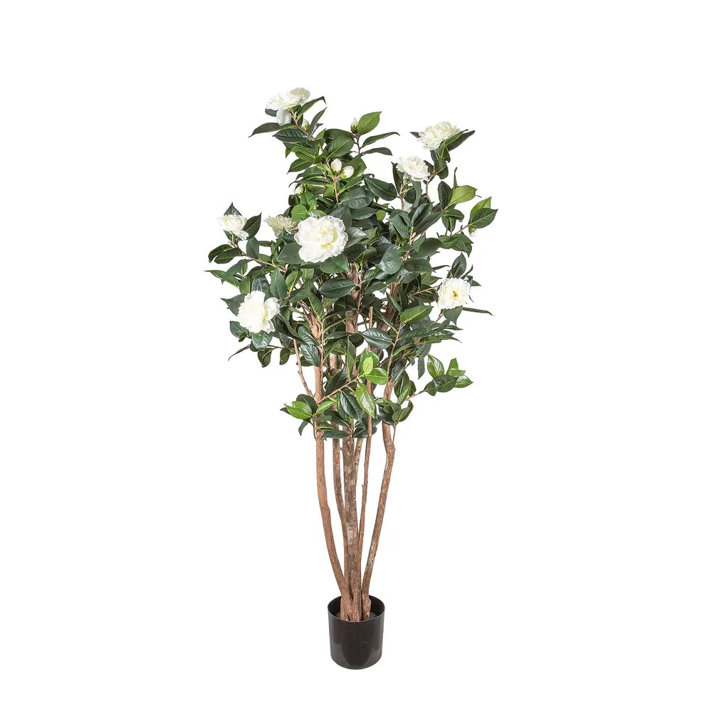 Artificial Camellia Japonica Tree White - 160cm - Notbrand
