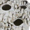 Tobago Coral Cluster Ceramic Vase Sculpture - White - Notbrand