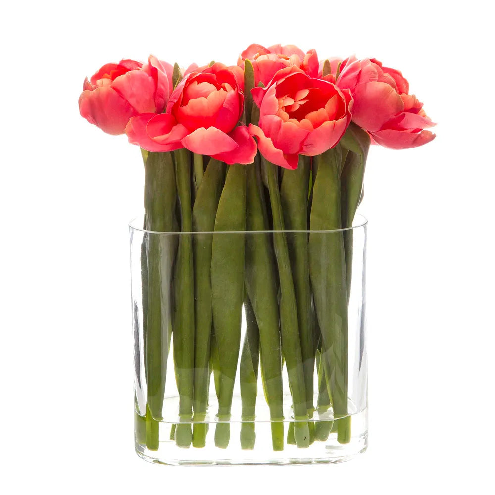 Tulip In Water In Vase Salmon - Notbrand