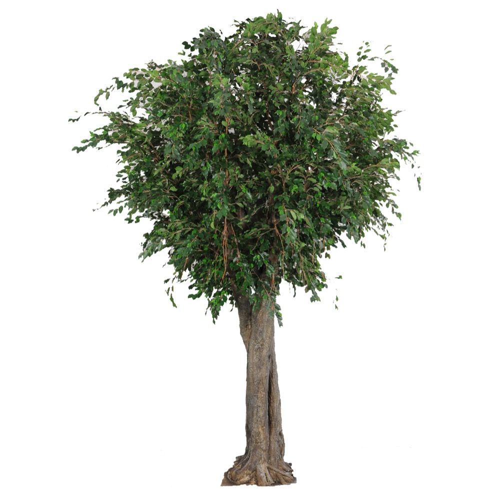 Ficus Exotica Giant Artificial Tree - 3.4m - Notbrand