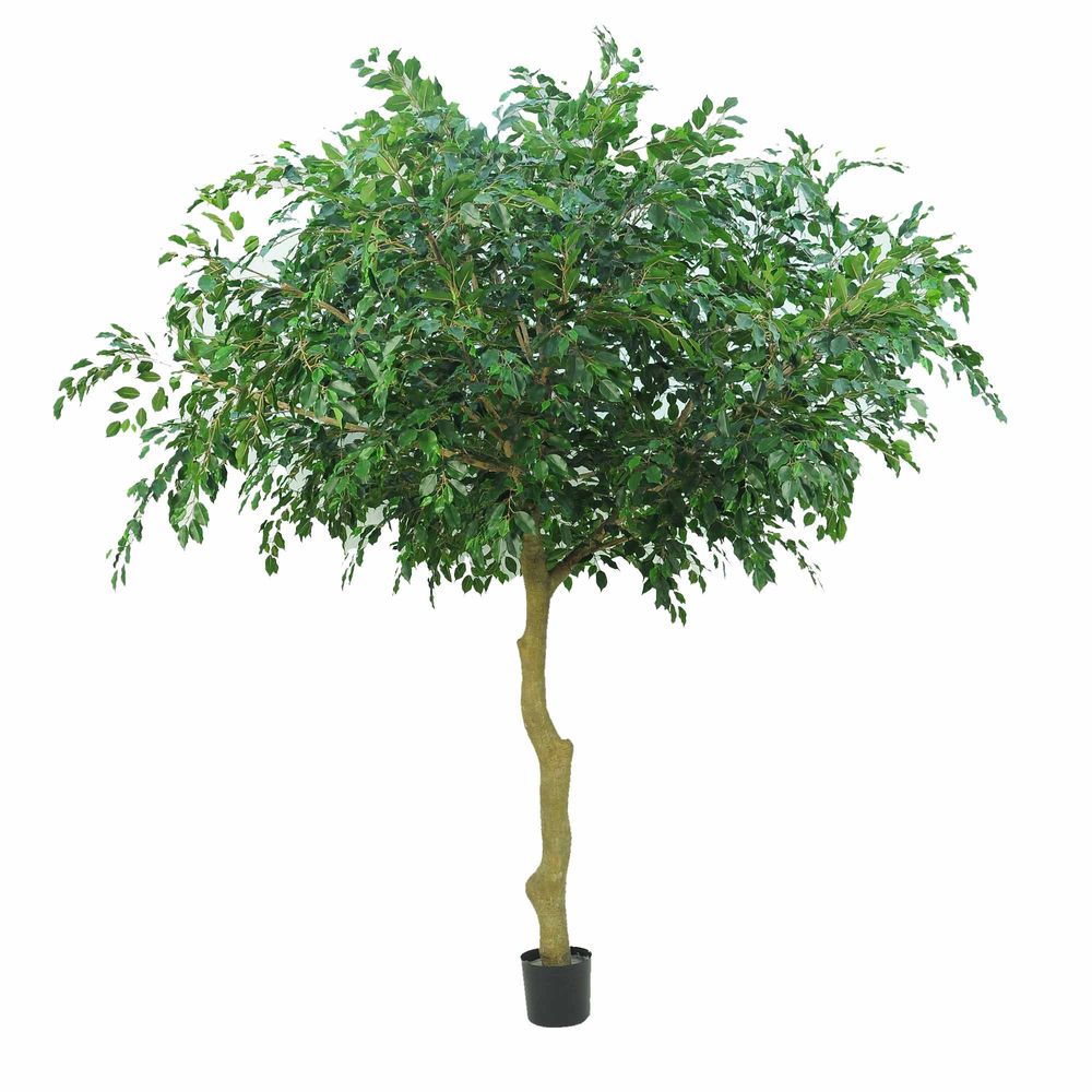 Ficus Exotica Giant Faux Tree - 2.9m - Notbrand