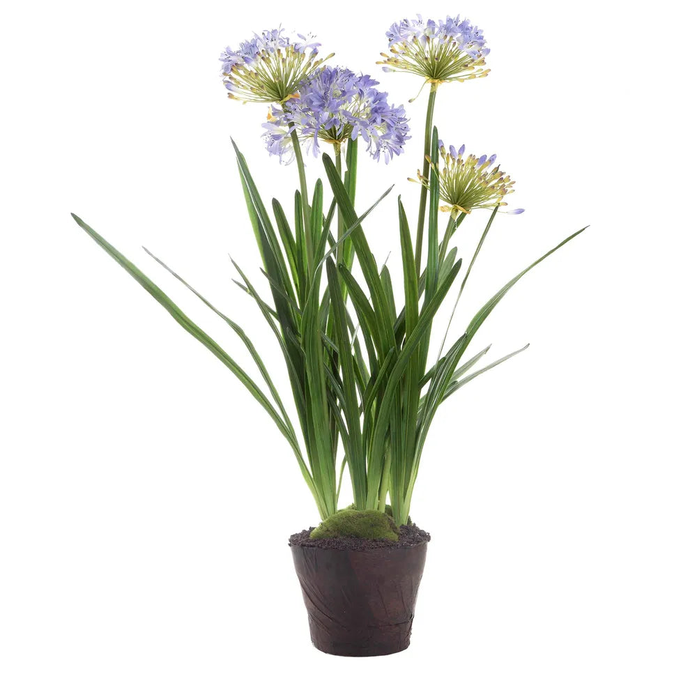 Artificial Agapanthus In Paper Pot with Lavender Flowers - Notbrand