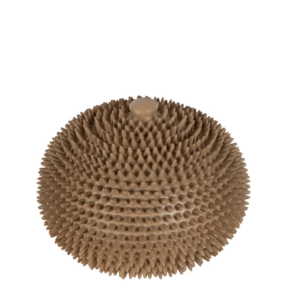 Spike Polyresin Bowl In Natural - Giant - Notbrand