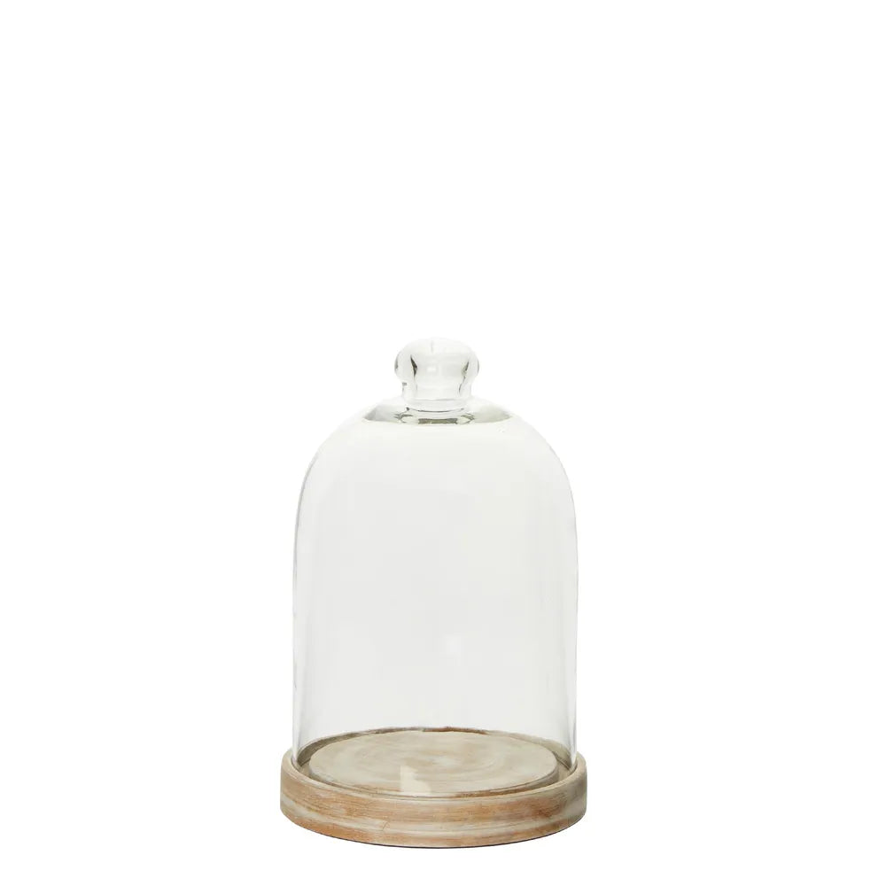 Sansa Glass Cloche Cake Cover With Wooden Base - Small - Notbrand