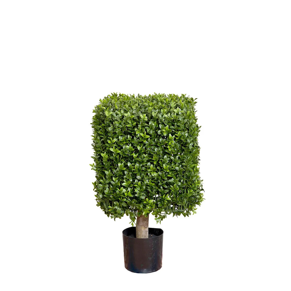 Artificial Boxwood Square Top Tree - 55cm - Notbrand