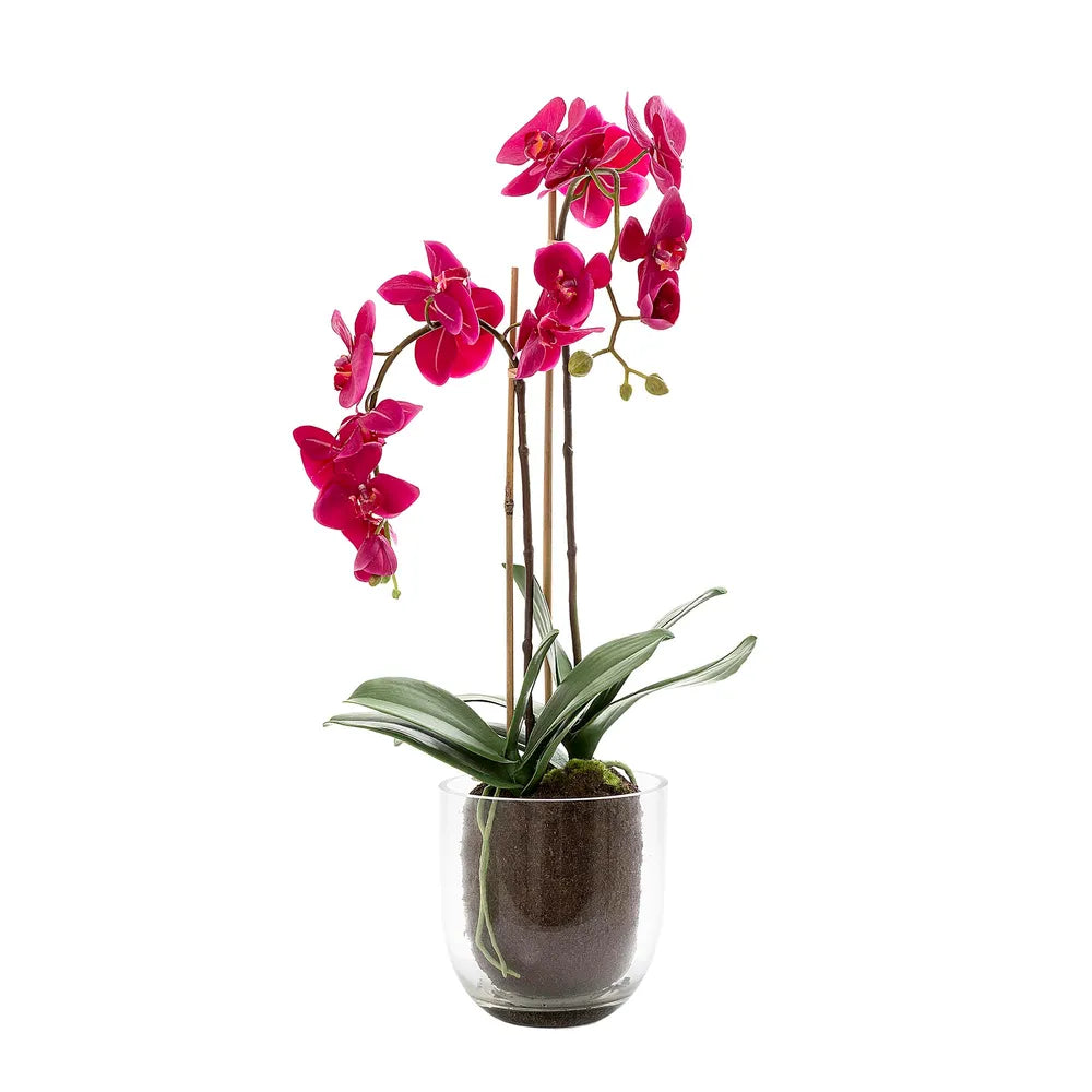 Orchid In Glass Vase with Fuchsia Artificial Flower - 80cm - Notbrand