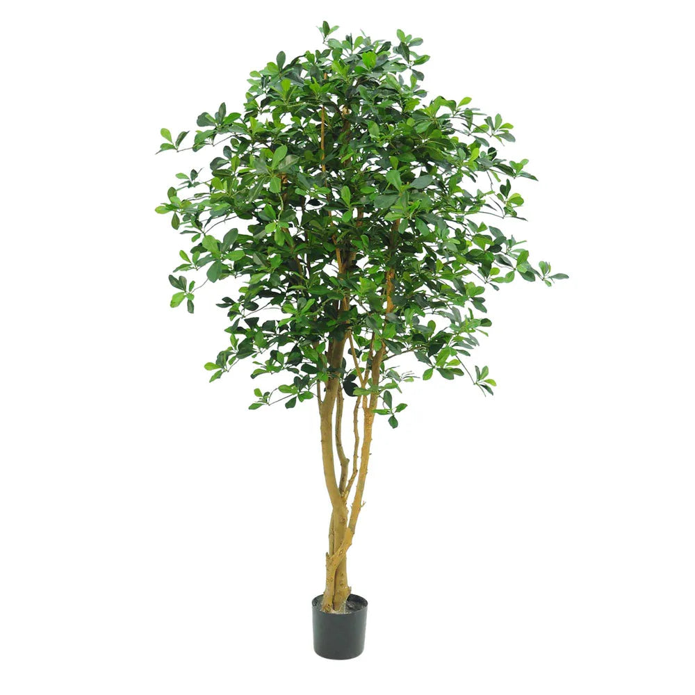 Artificial Oriental Olive Tree - 155cm - Notbrand
