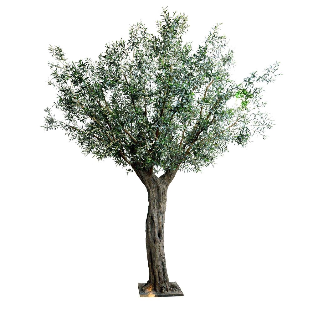 Olive Giant Faux Tree With Hanging Fruits - Notbrand