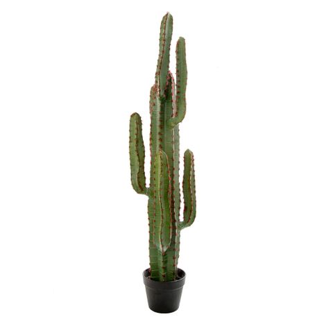 Artificial Desert Cactus in Green - Extra Large - Notbrand