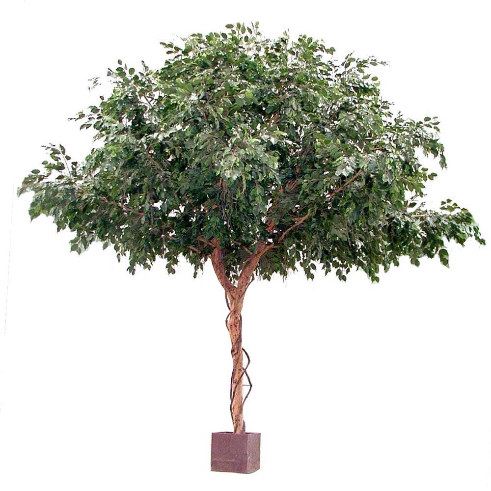 Ficus Exotica Artificial Giant Tree - 3m - Notbrand