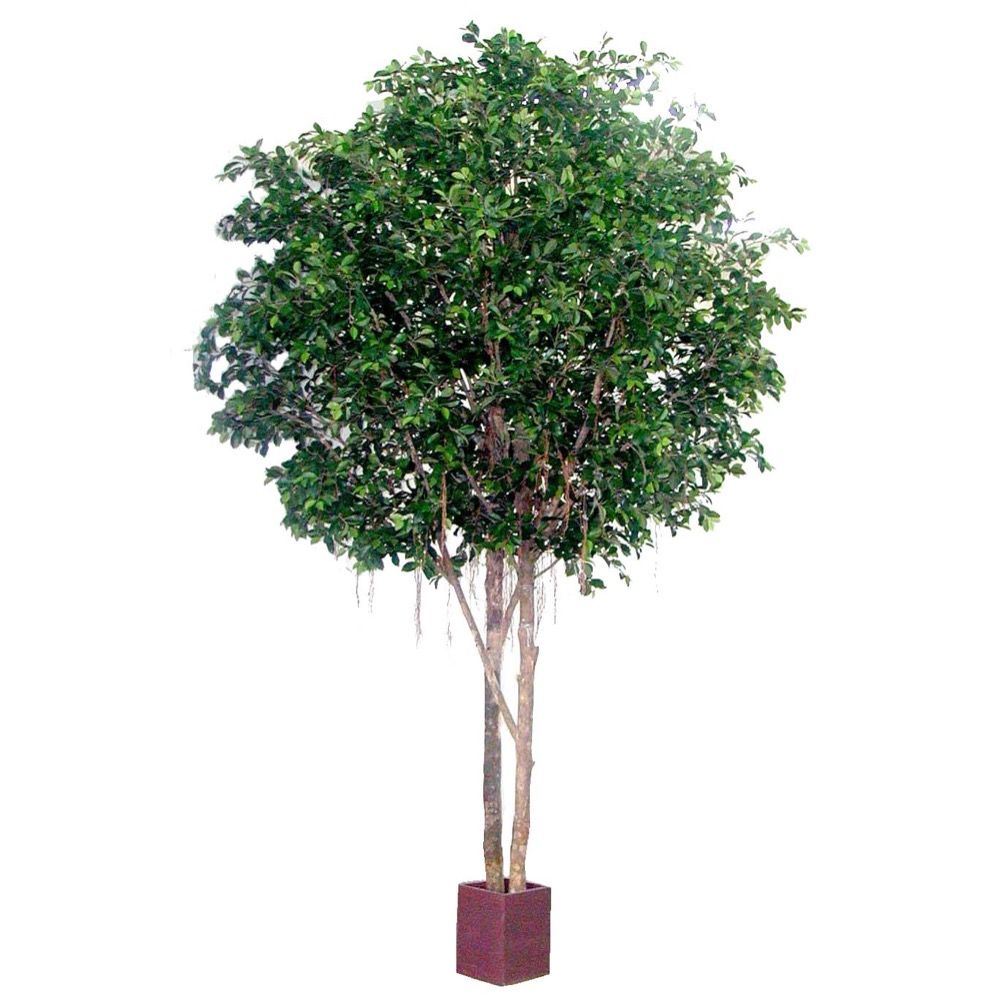 Ficus Retusa Round Topiary Giant Artificial Tree - 3.05m - Notbrand